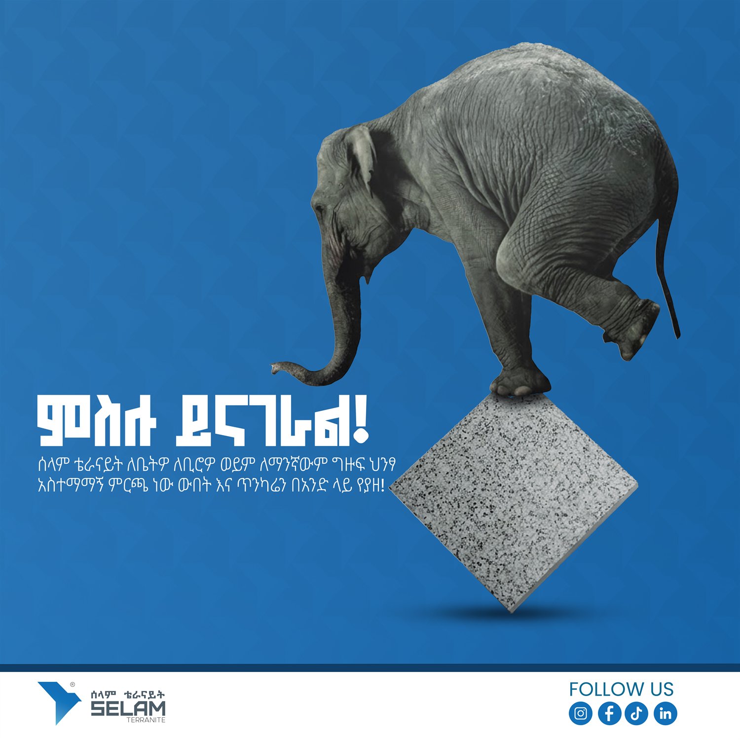Sample square social media post design for Selam Terranite